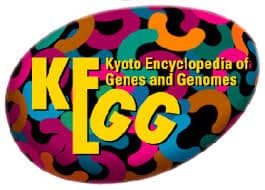 KEGG Logo