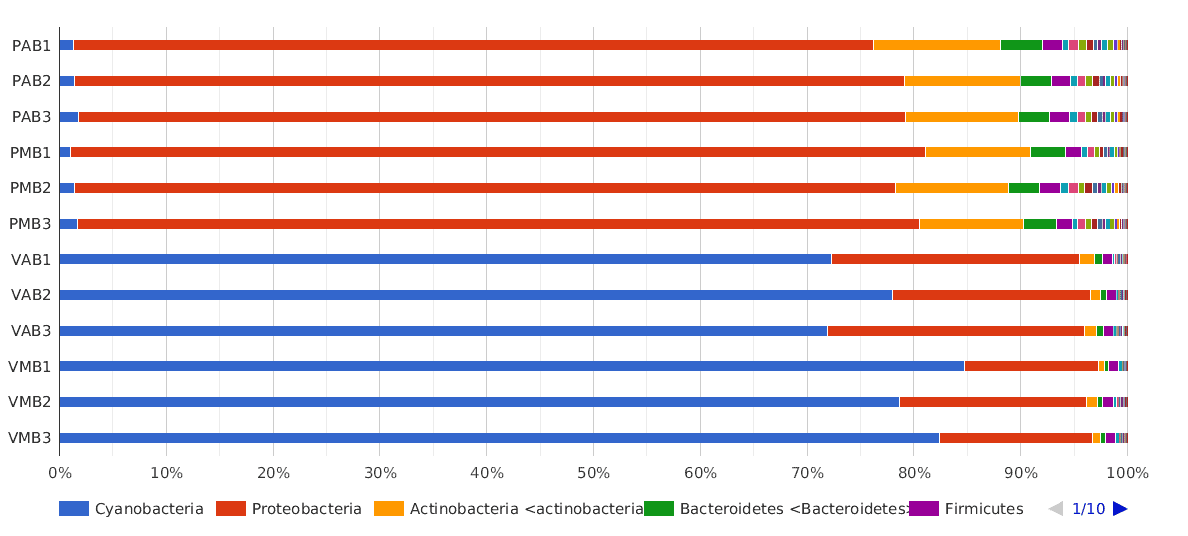 Cyanobacteria Classification Chart