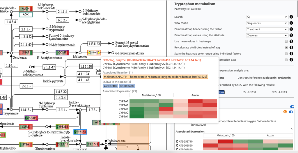 OmicsBox Pathway Visualization