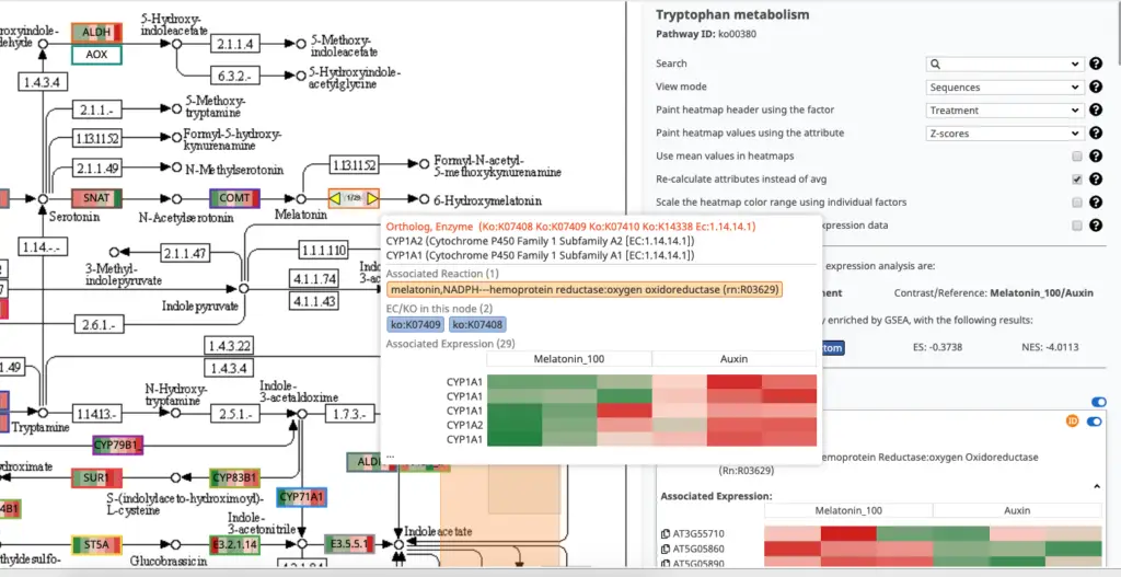 OmicsBox Pathway Visualization