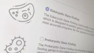 Gene Prediction Augustus OmicsBox