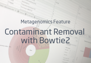 Contaminant Removal with Bowtie2 in OmicsBox