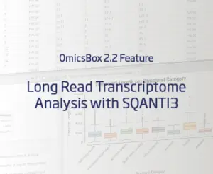 Long Read Transcriptome with SQANTI3