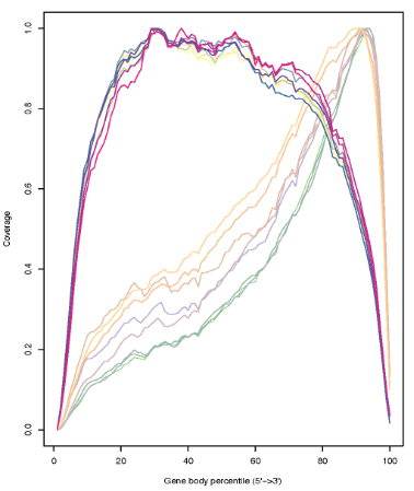 Gene Body Coverage