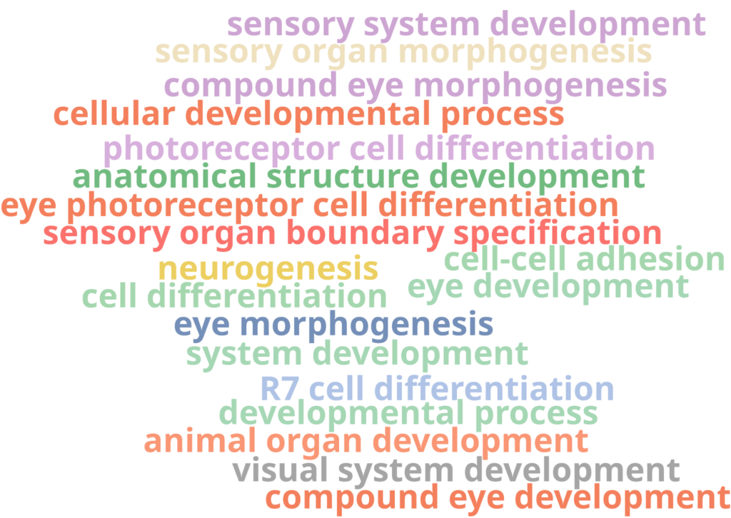 cell type identification keywords