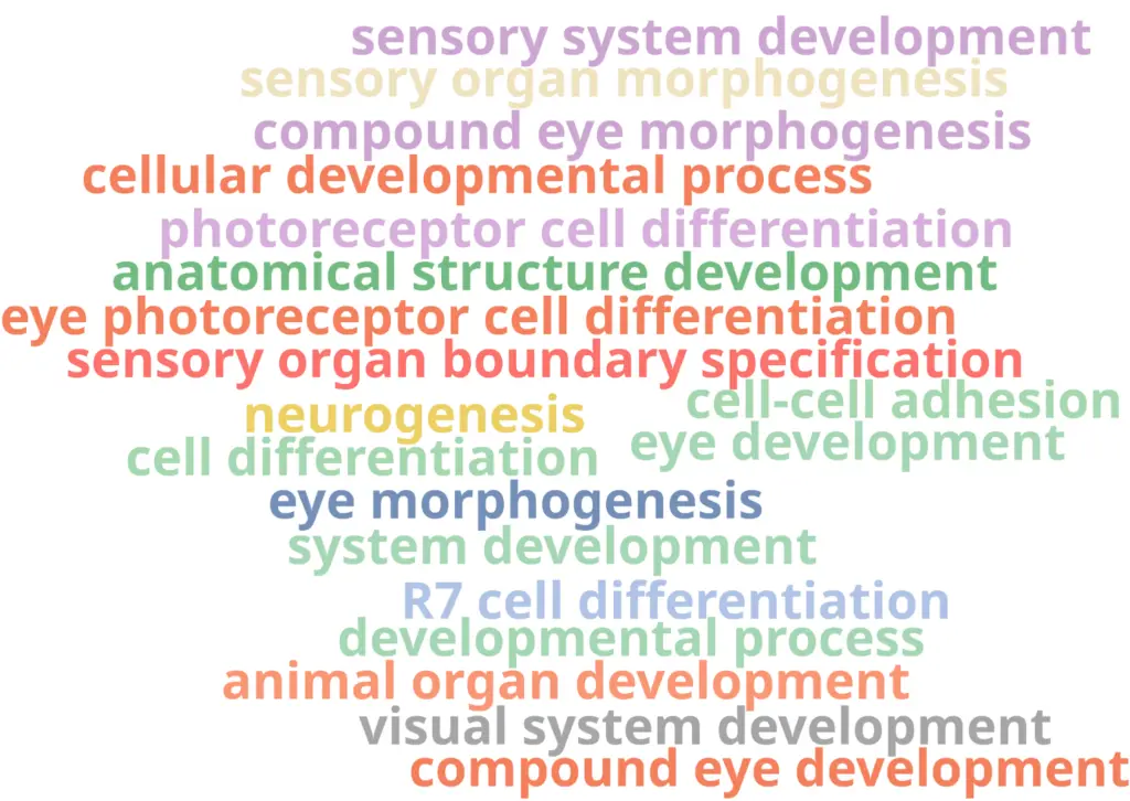 cell type identification keywords