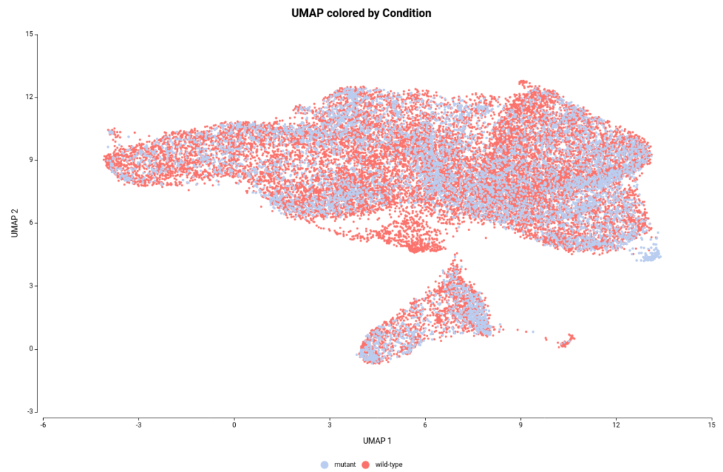 cell type identification UMAP graphic