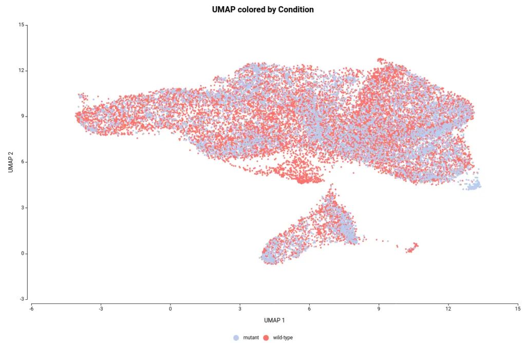 cell type identification UMAP graphic