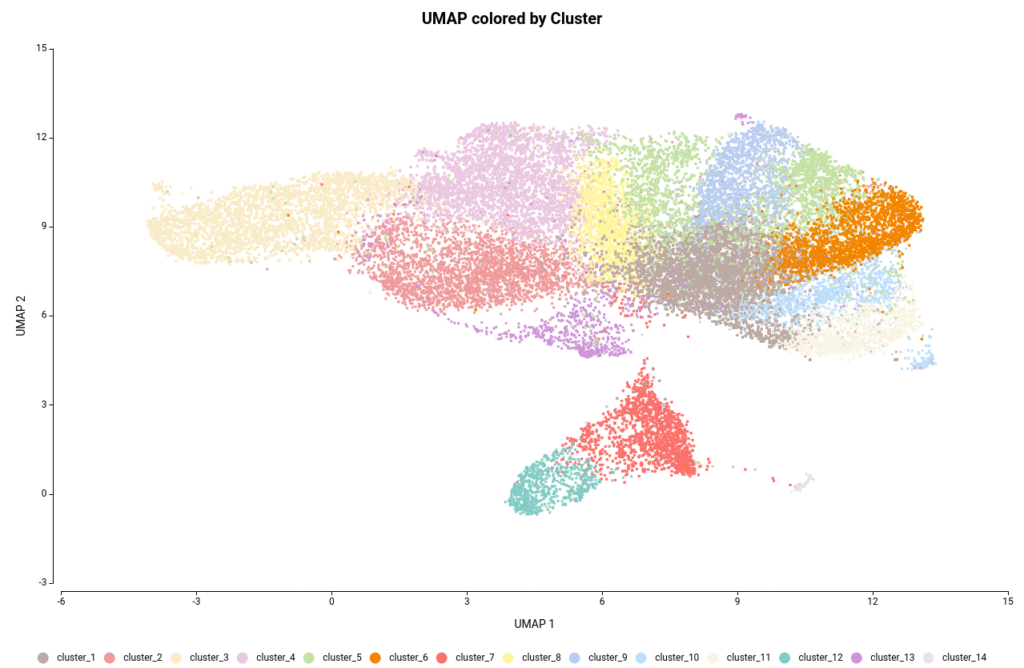 cell type identification UMAP by cluster