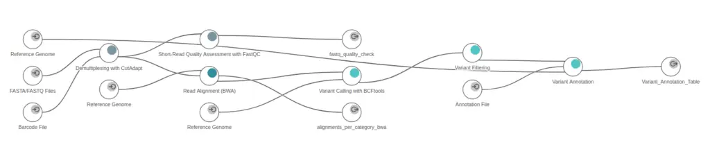 cutadapt workflow