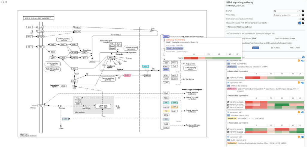 Pathway Analysis visualization