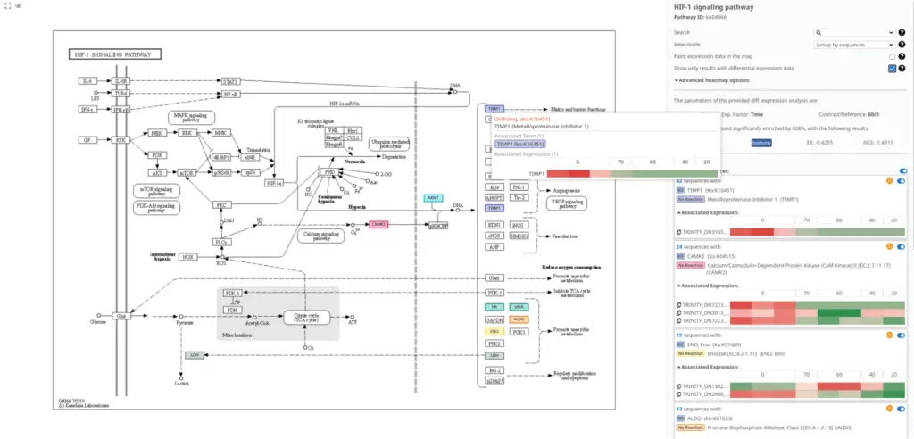 Pathway Analysis visualization