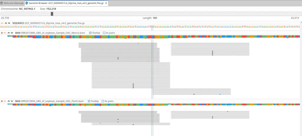 BWA in OmicsBox Genome Browser