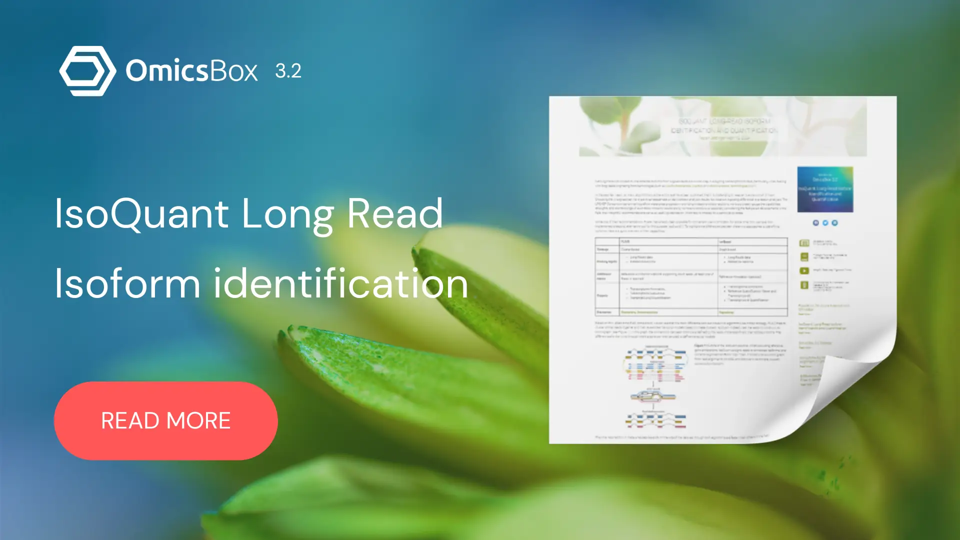 IsoQuant: Long-Read Isoform Identification and Quantification