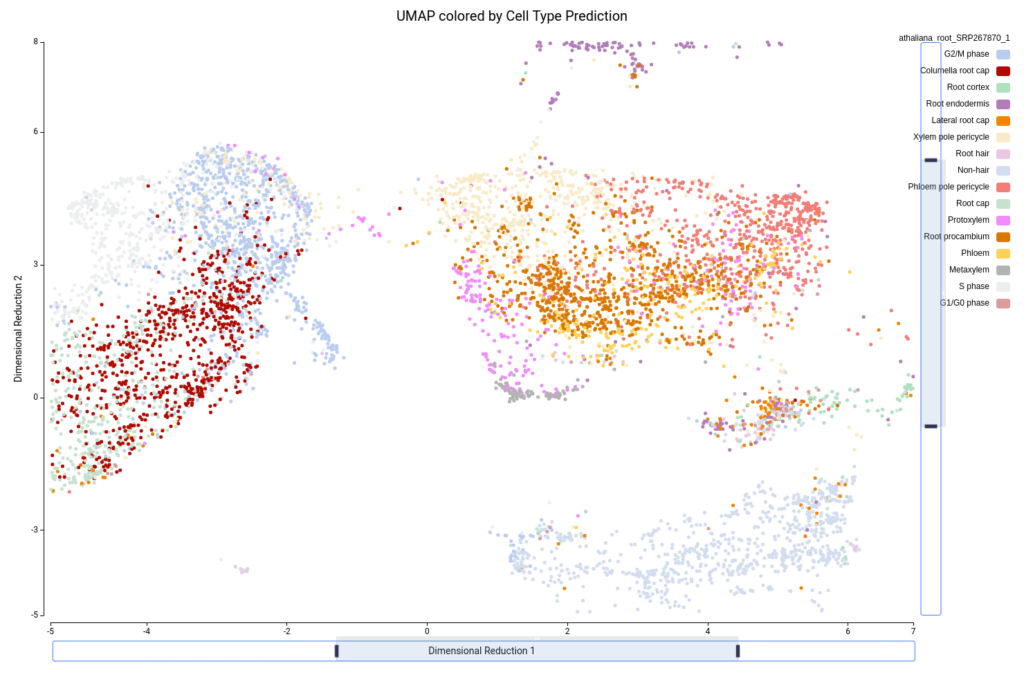 UMAP Single Cell