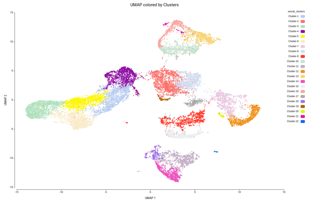 UMAP by cluster
