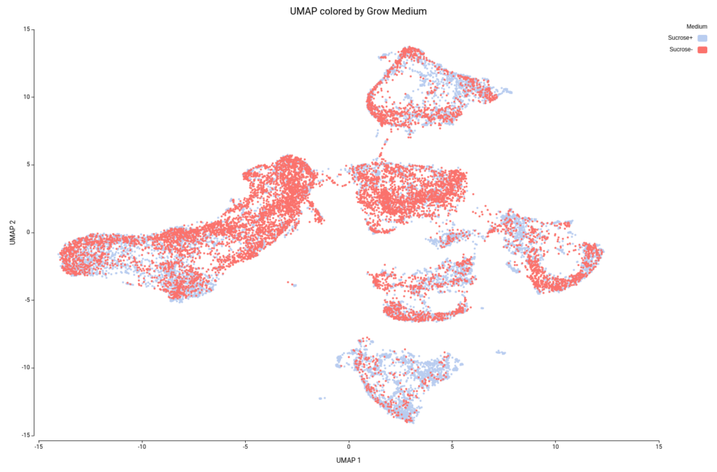 UMAP single cell graphic