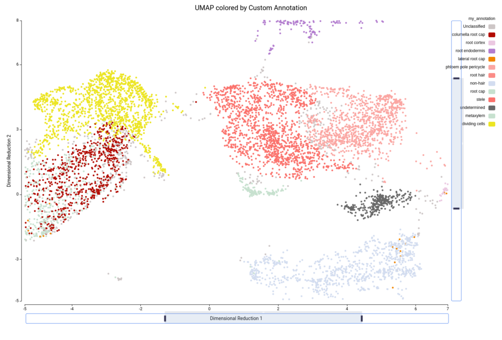 UMAP