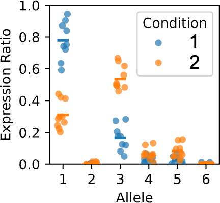 Figure 9. Example result showing a gene in sweetpotato with differential allele expression between conditions 1 and 2.