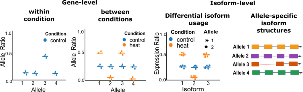 Figure 8. Downstream analysis workflow using the polyASE Python package for allele-specific quantification.