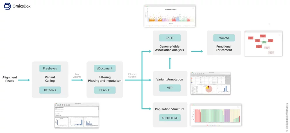 Genetic Variation Module - OmicsBox - BioBam