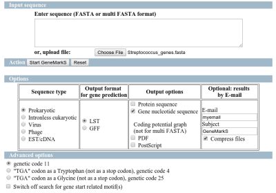 GeneMarkS_parameters