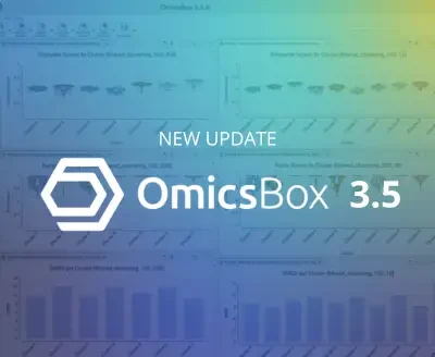 IMG BLOG (34) IMG BLOG (34)