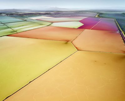 MulticoloredSaltern