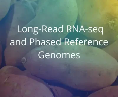 long_reads_phased