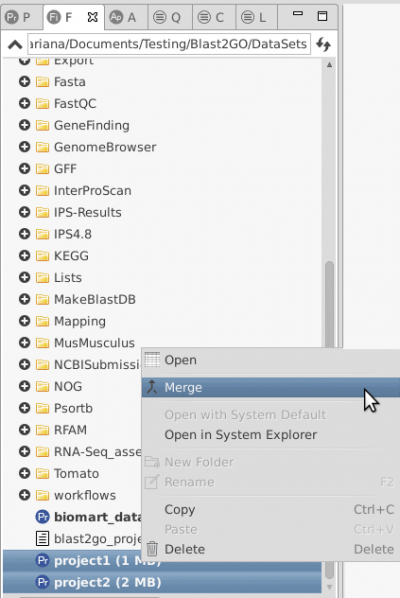 merge Blast2GO projects