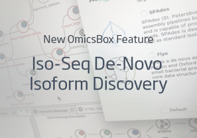 IsoSeq long-read analysis