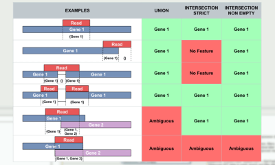 quantifyexpression