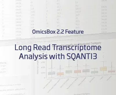 Long Read Transcriptome with SQANTI3