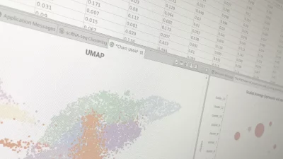 Single Cell Clustering Seurat