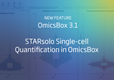 starsolo